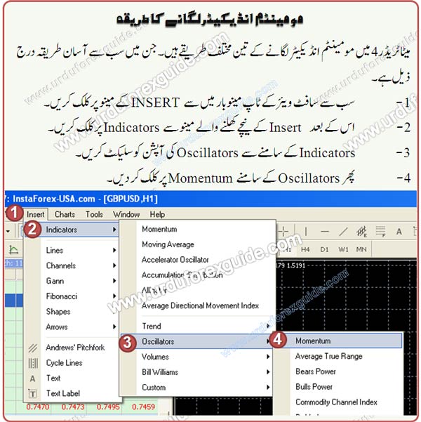 Urdu tutorial to add Momentum Indicator in metatrader charts
