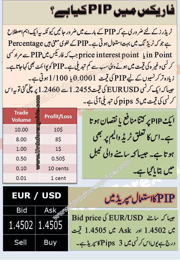 A pip is a number value. In the Forex market, the value of currency is given in pips. One pip equals 0.0001, two pips equals 0.0002, three pips equals 0.0003 and so on. One pip is the smallest price change that an exchange rate can make.
