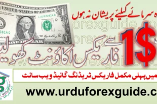 Start Forex Trading only with 1$